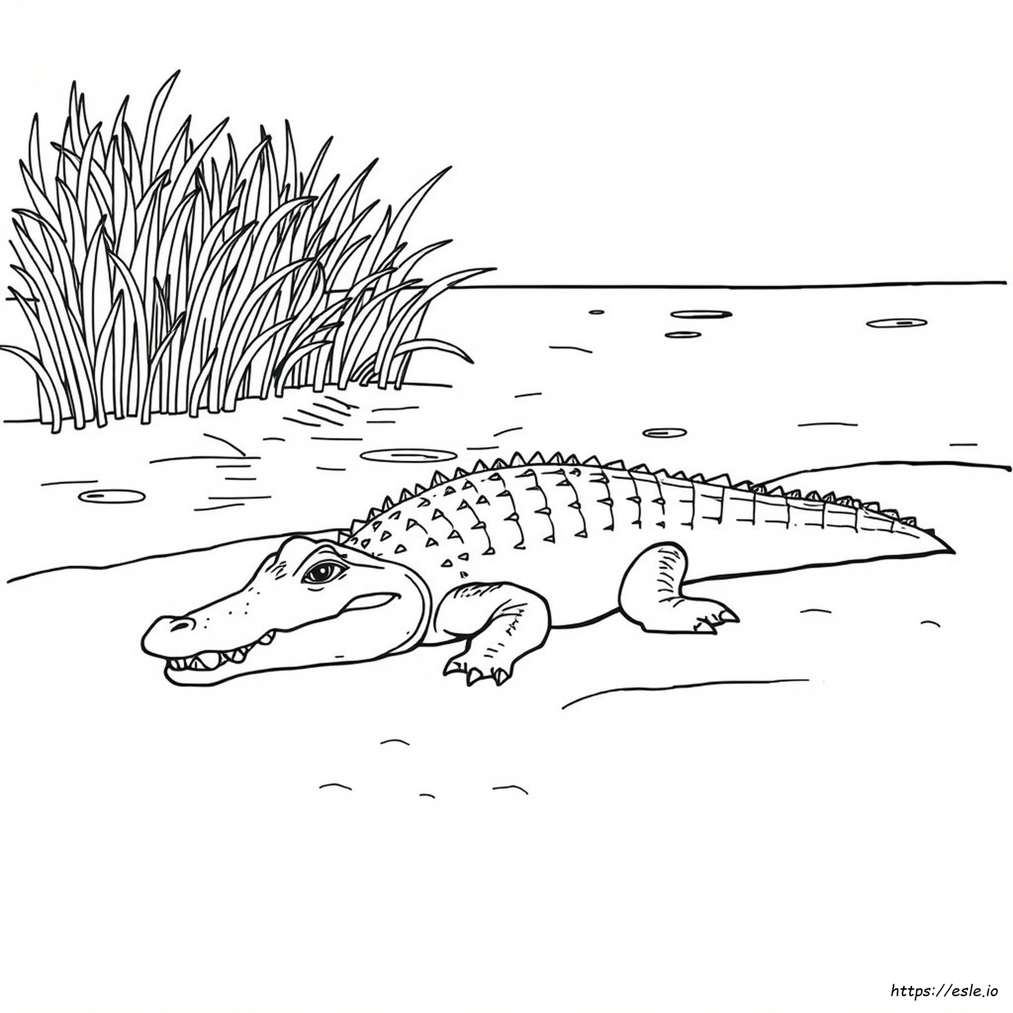 Nile Crocodile Coloring Page - Printable PDF