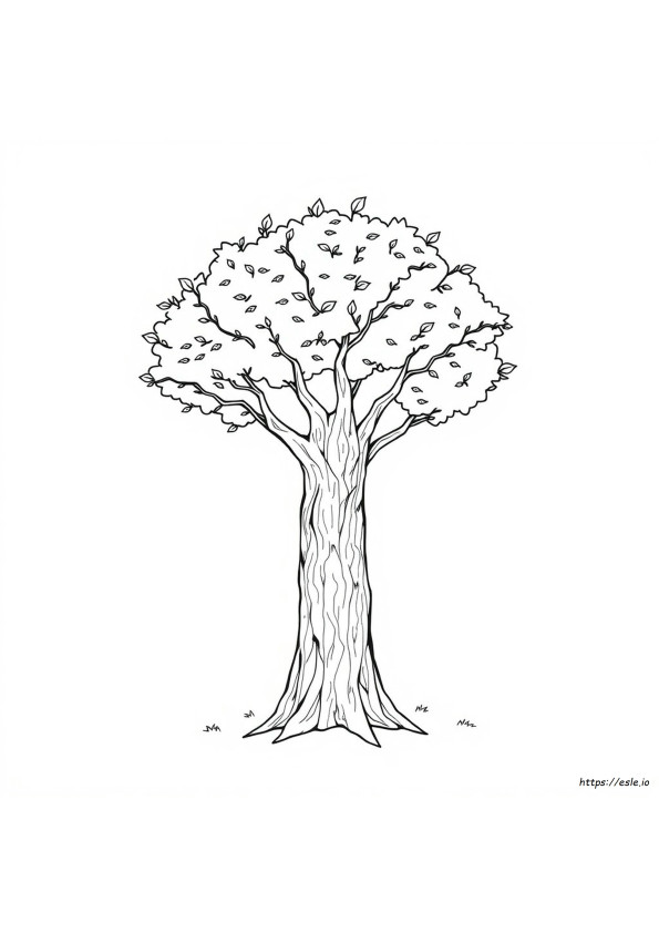 Come Colorare La Corteccia Dell'albero
