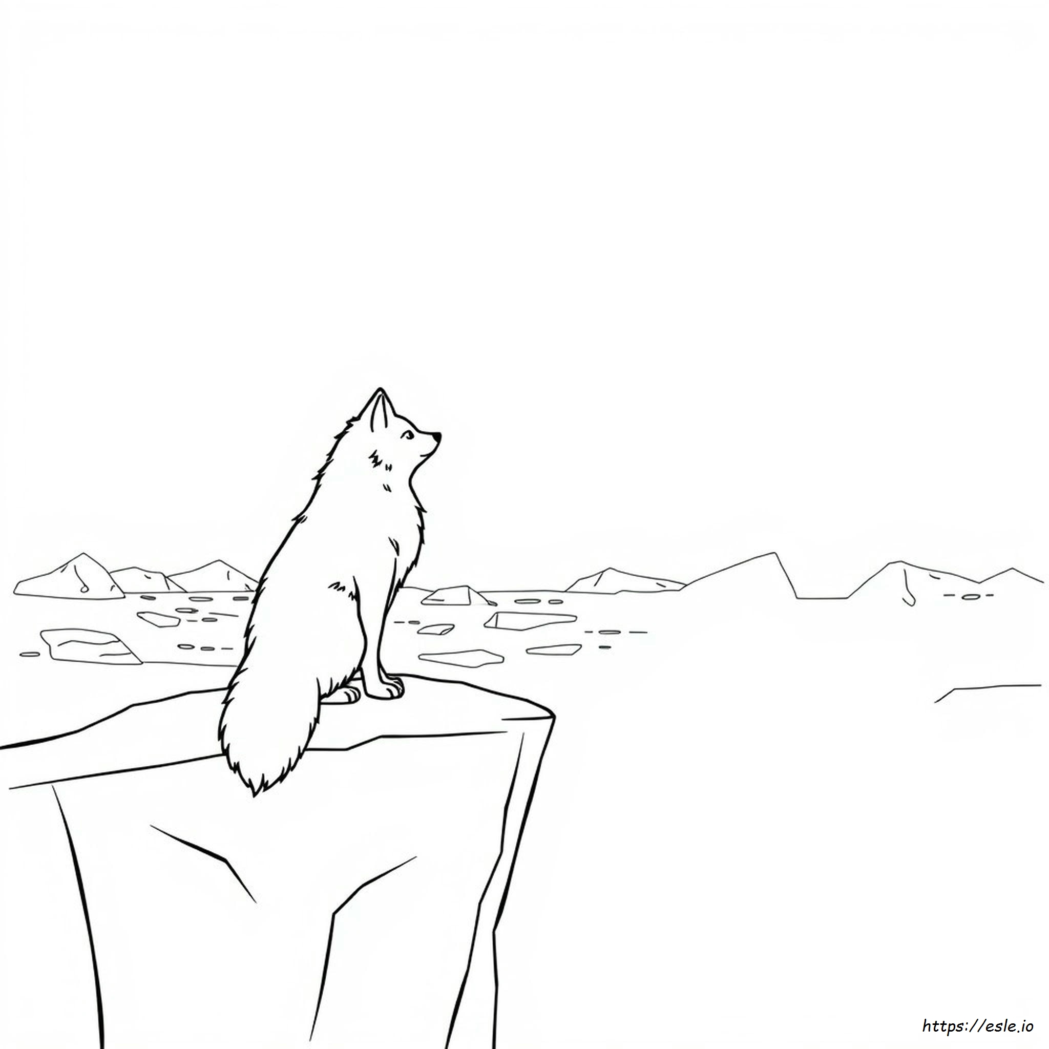 Noorah Arctic Fox Coloring Page