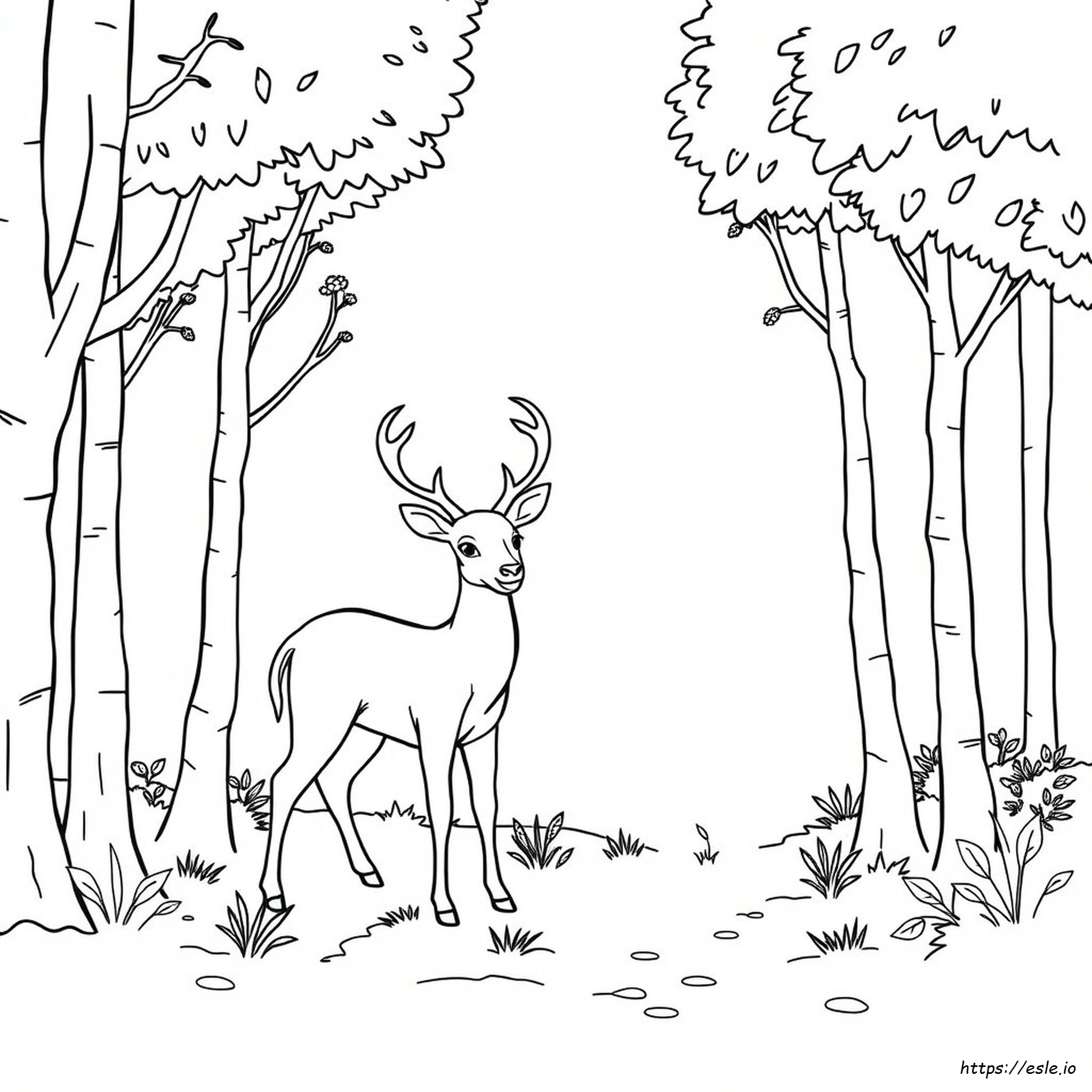 Deer Coloring Book Pages