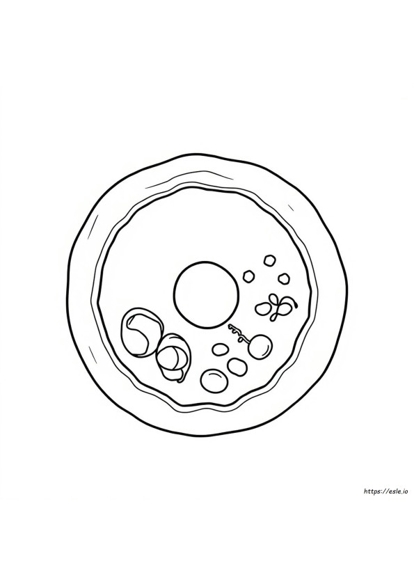 Animal Cell Coloring Page