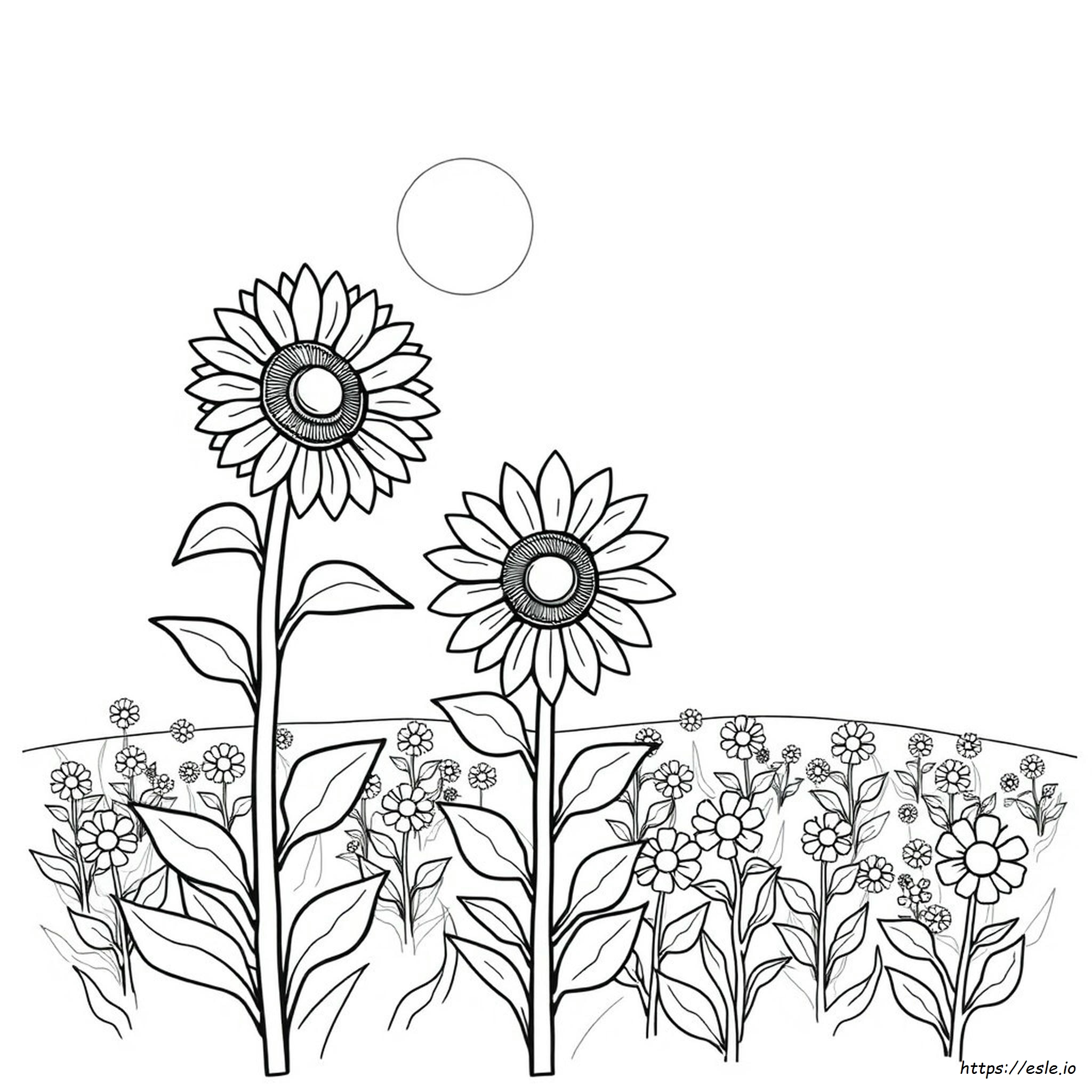 Sunflower Coloring Pages Printable Pdf