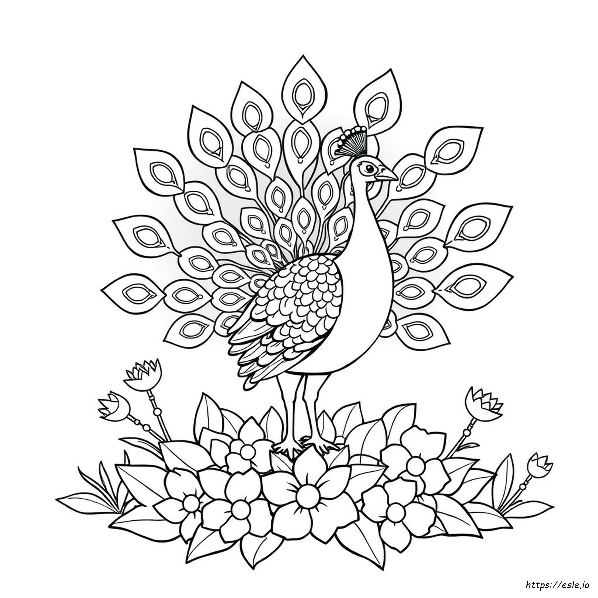 Easy Peacock Coloring Pages