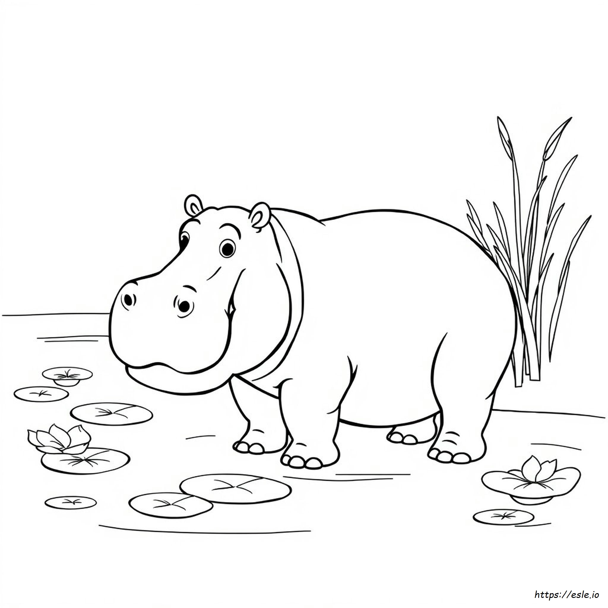 Hippopotamus Coloring Sheet - Free Printable Page