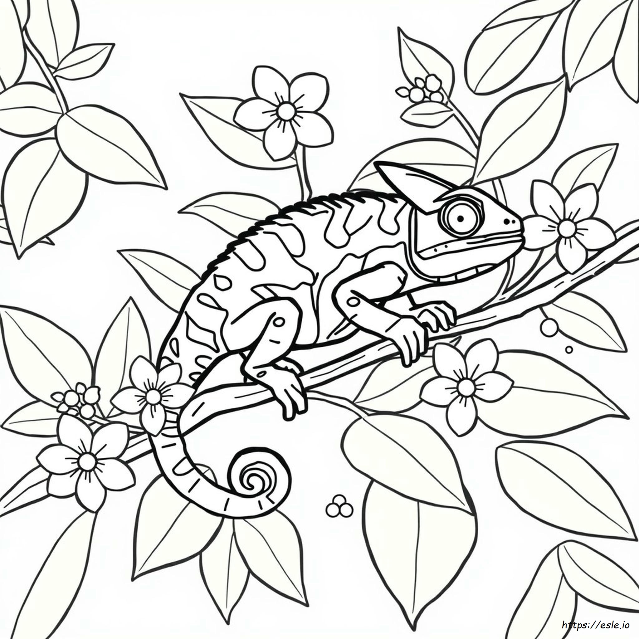 Chameleon Coloring Page Pdf