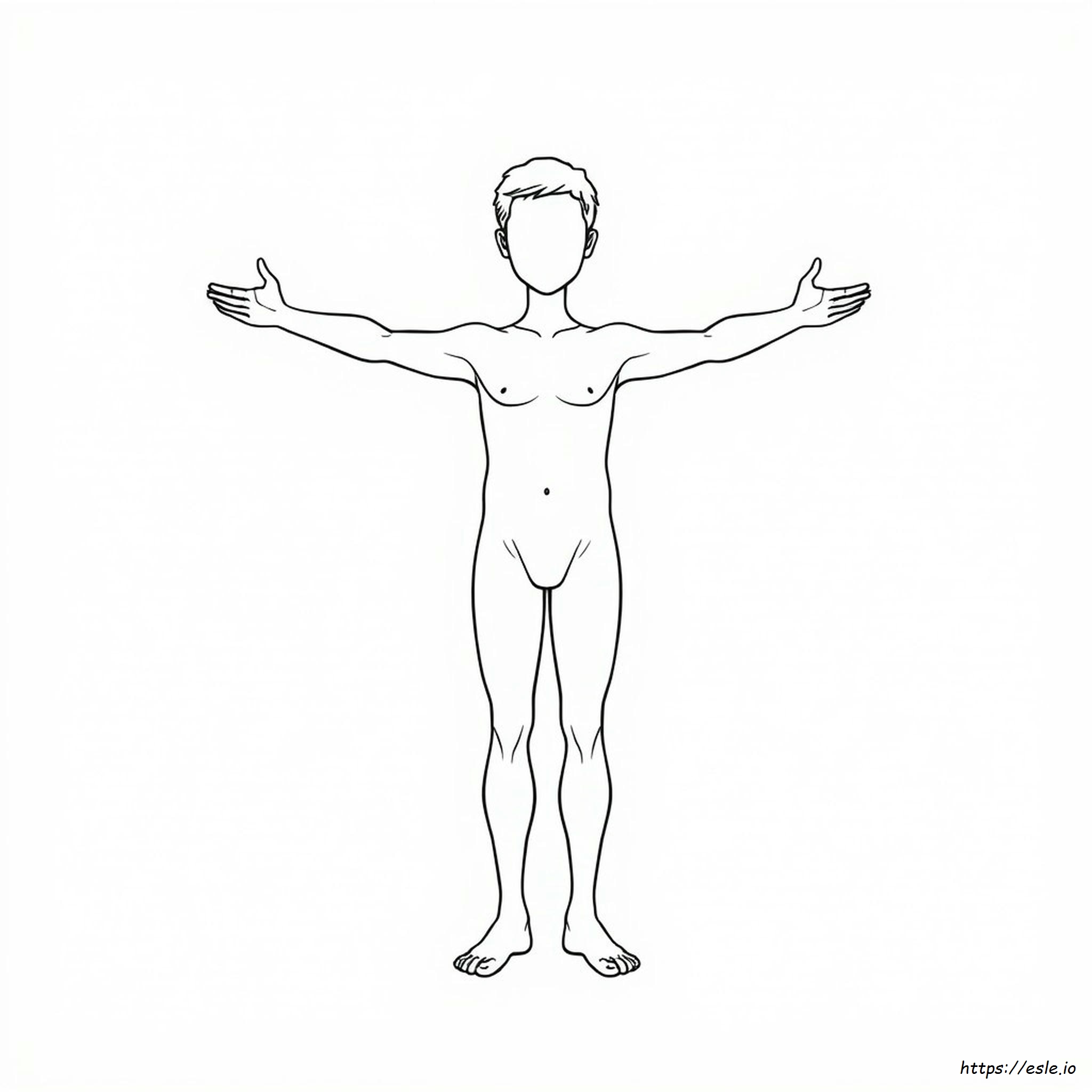 Disegni Da Colorare Del Corpo Umano