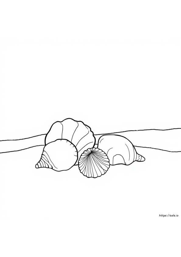 Coloriage Coquillage