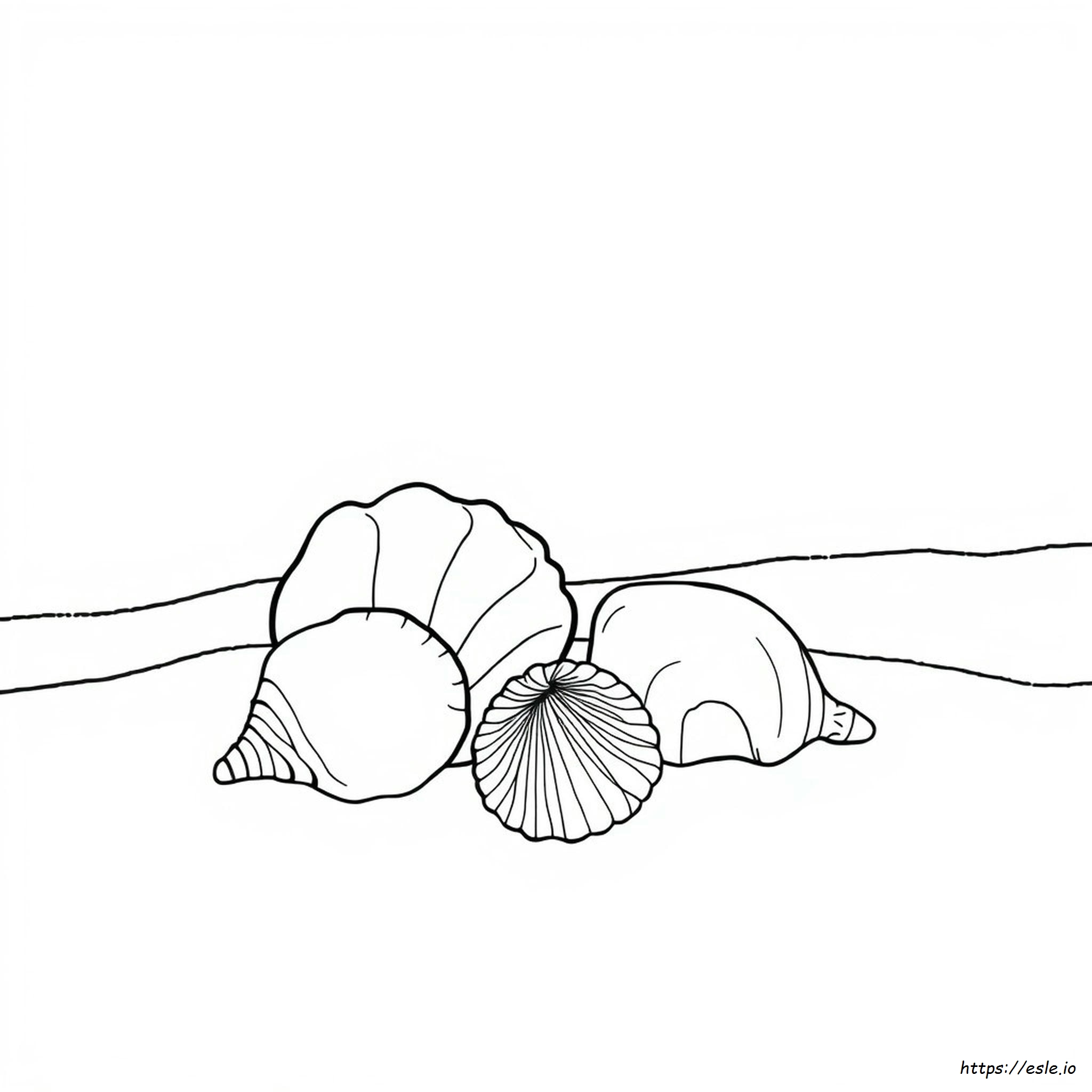 Kerang Laut Gambar Mewarnai