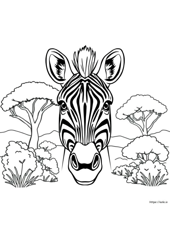 Zebra Face Coloring Page