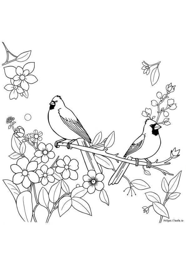 Different Colors Of Cardinals