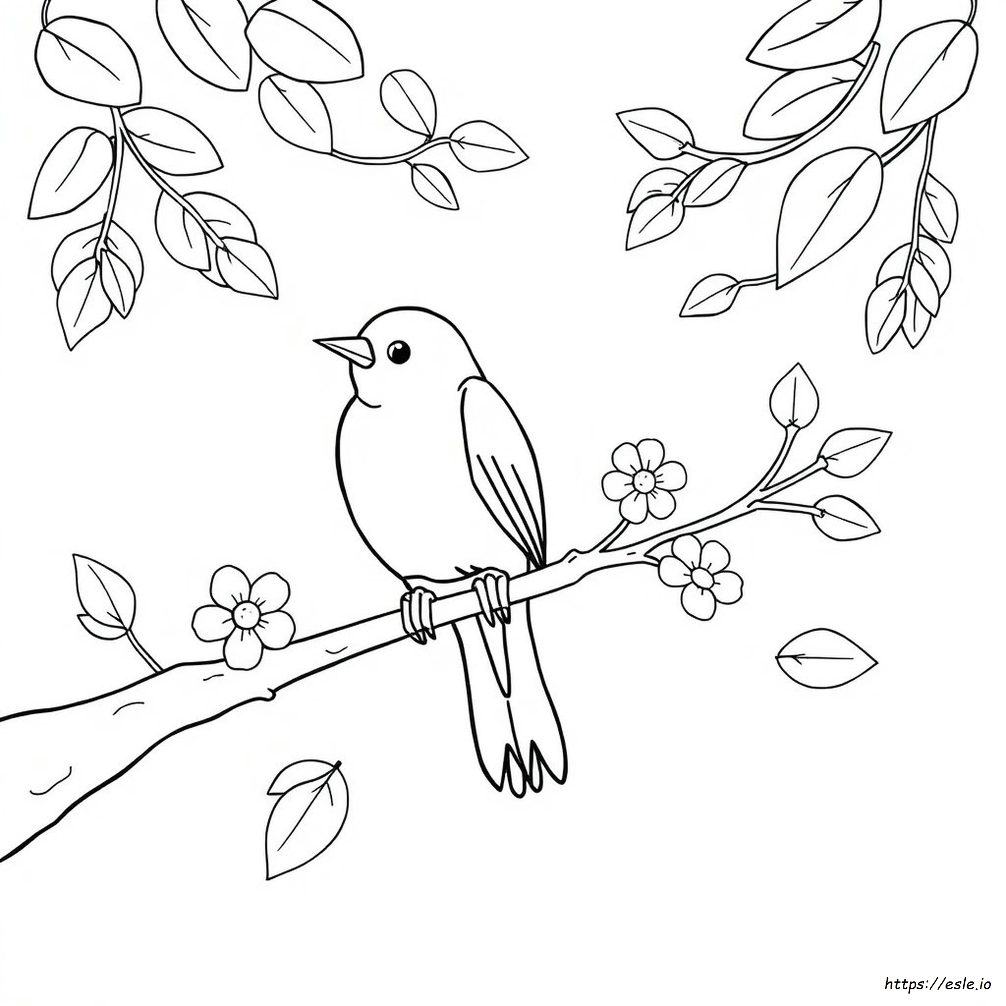 Big Bird Coloring Pages Free