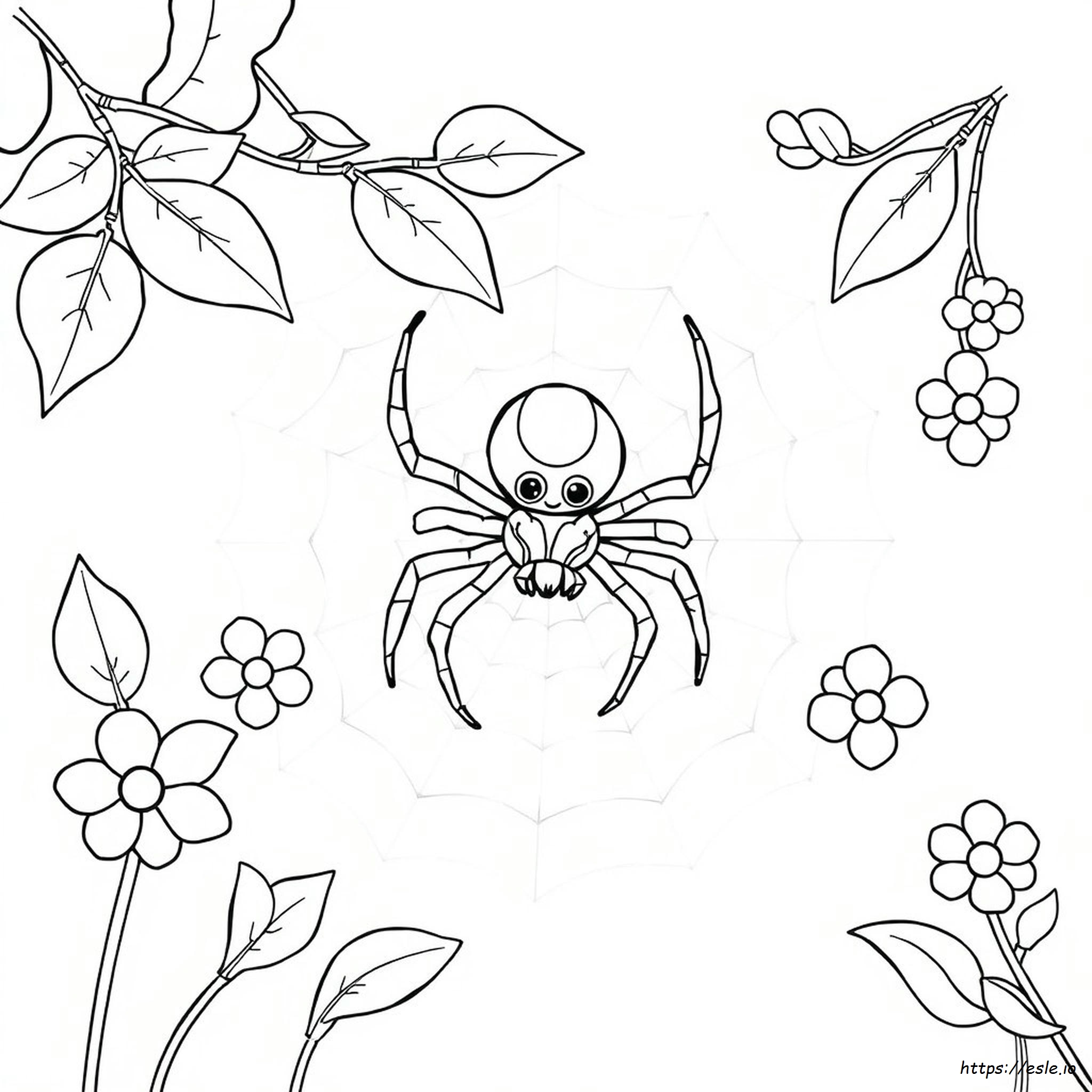 Spider Coloring Pages Pdf