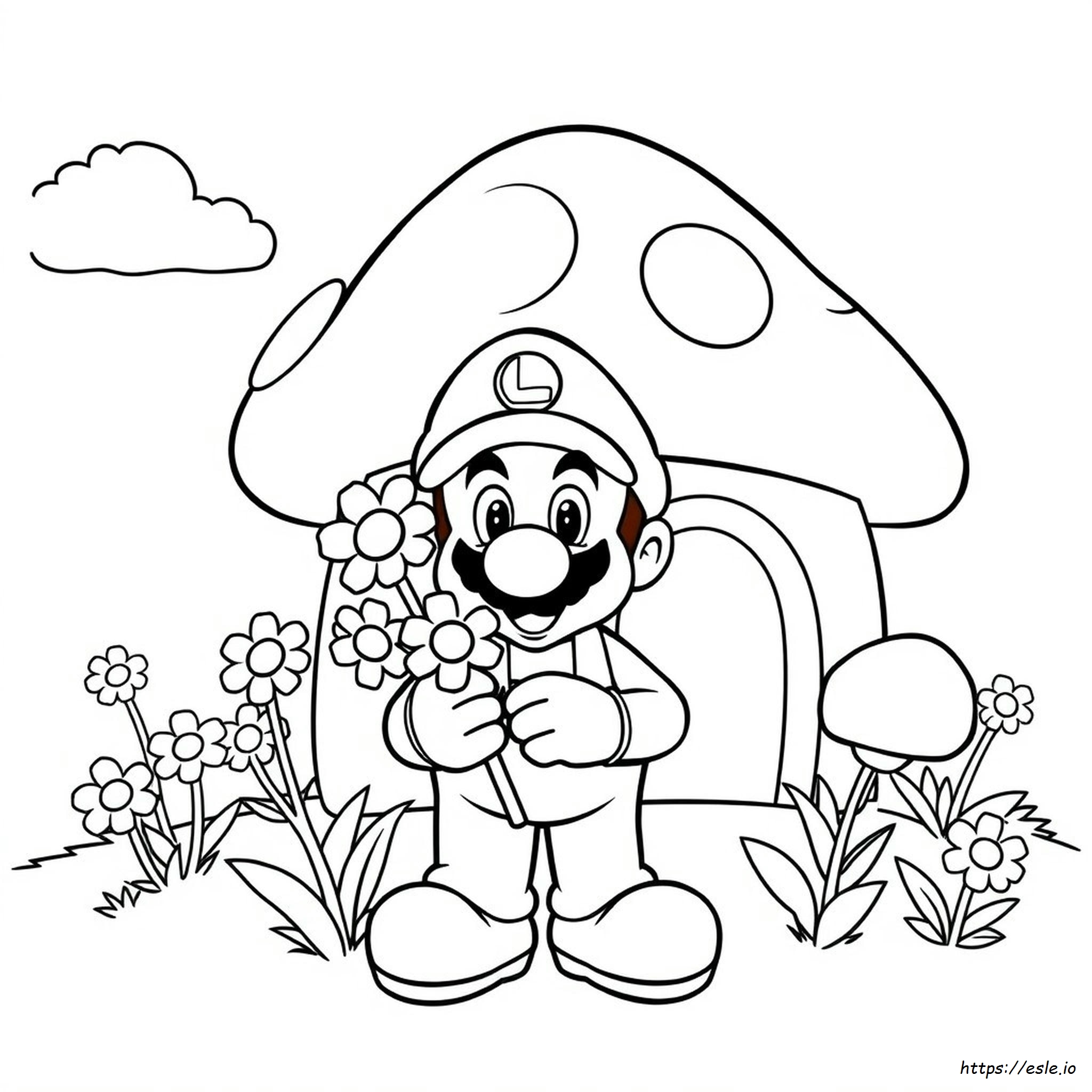Daisy Mario Colouring Pages