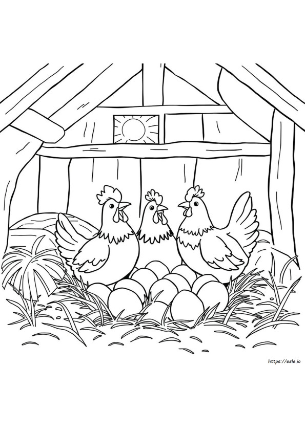 Hen Colouring Picture