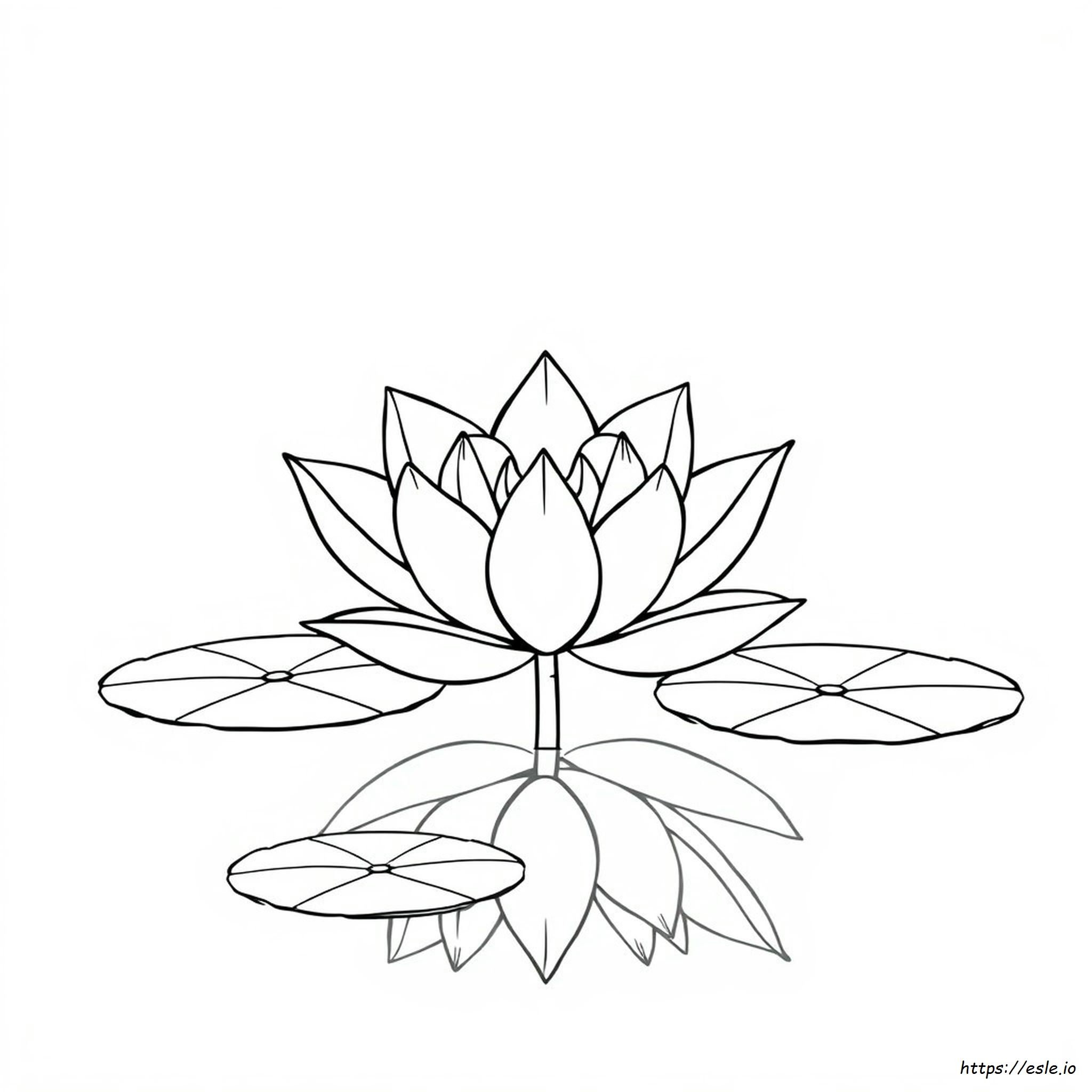 Drawing Printable Lotus Flower Coloring Page