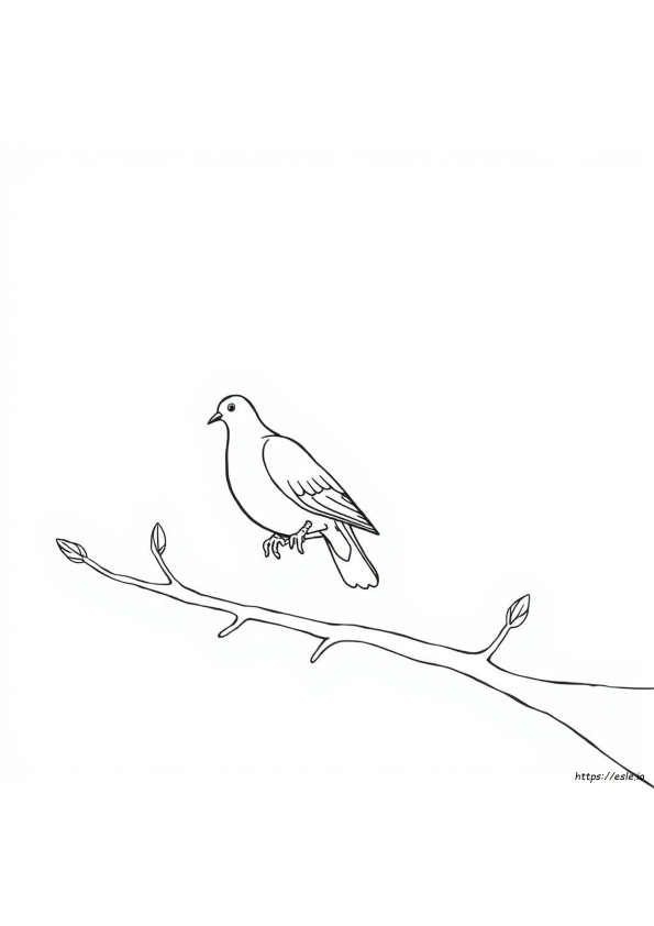 Coloring Page Of A Dove