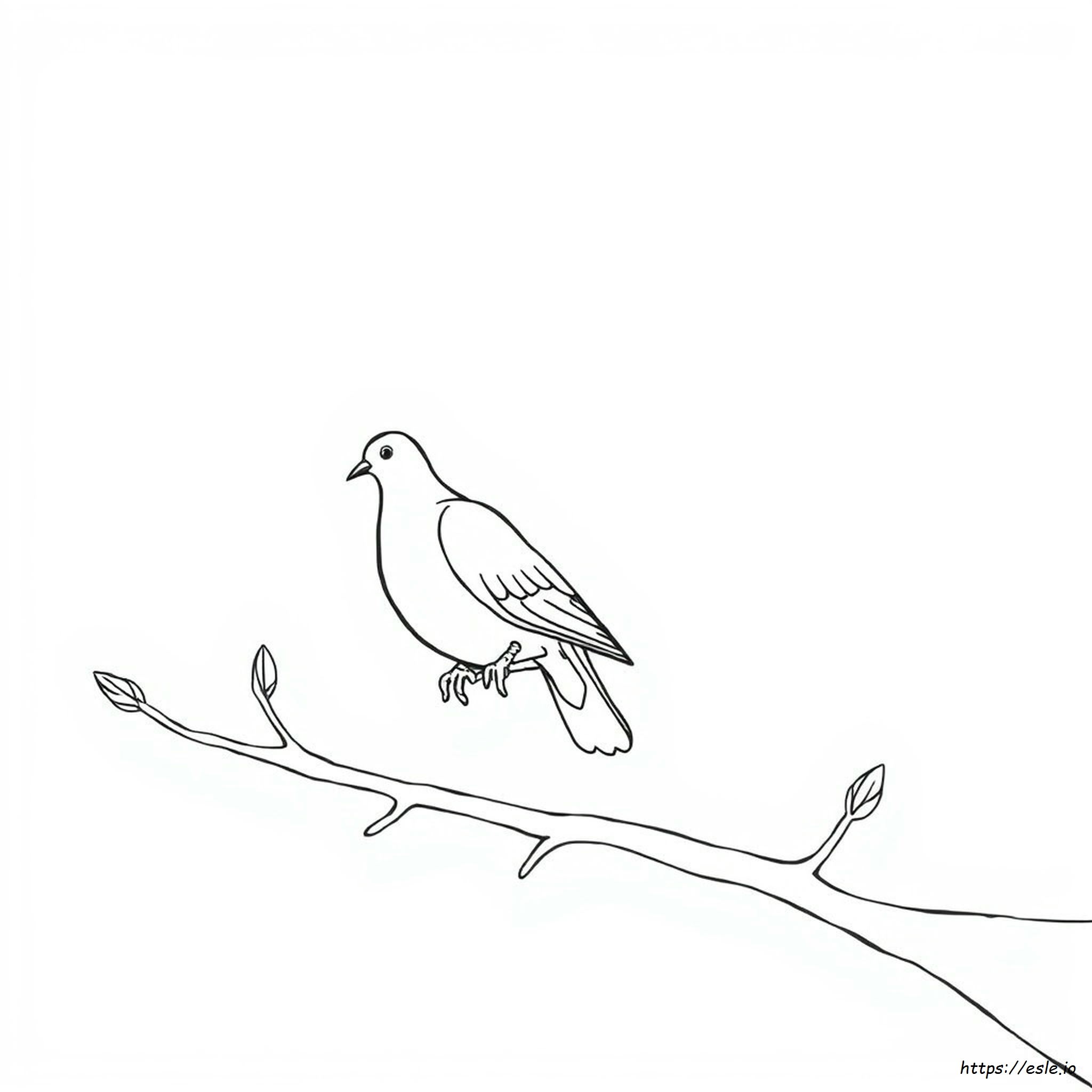 Gambar Mewarnai Seekor Merpati