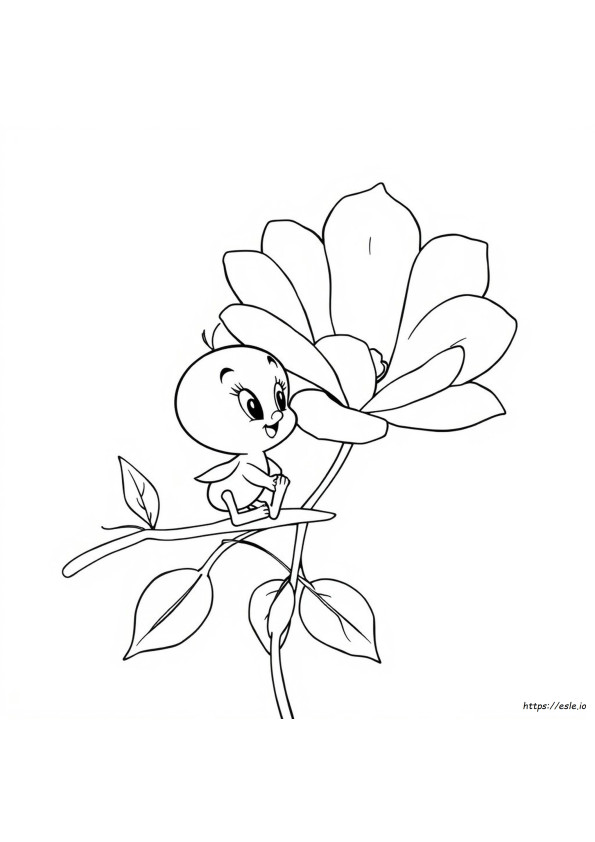 Flower Tweety Bird Coloring Pages