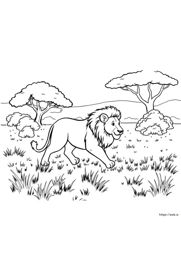 Desene De Colorat Cu Animale