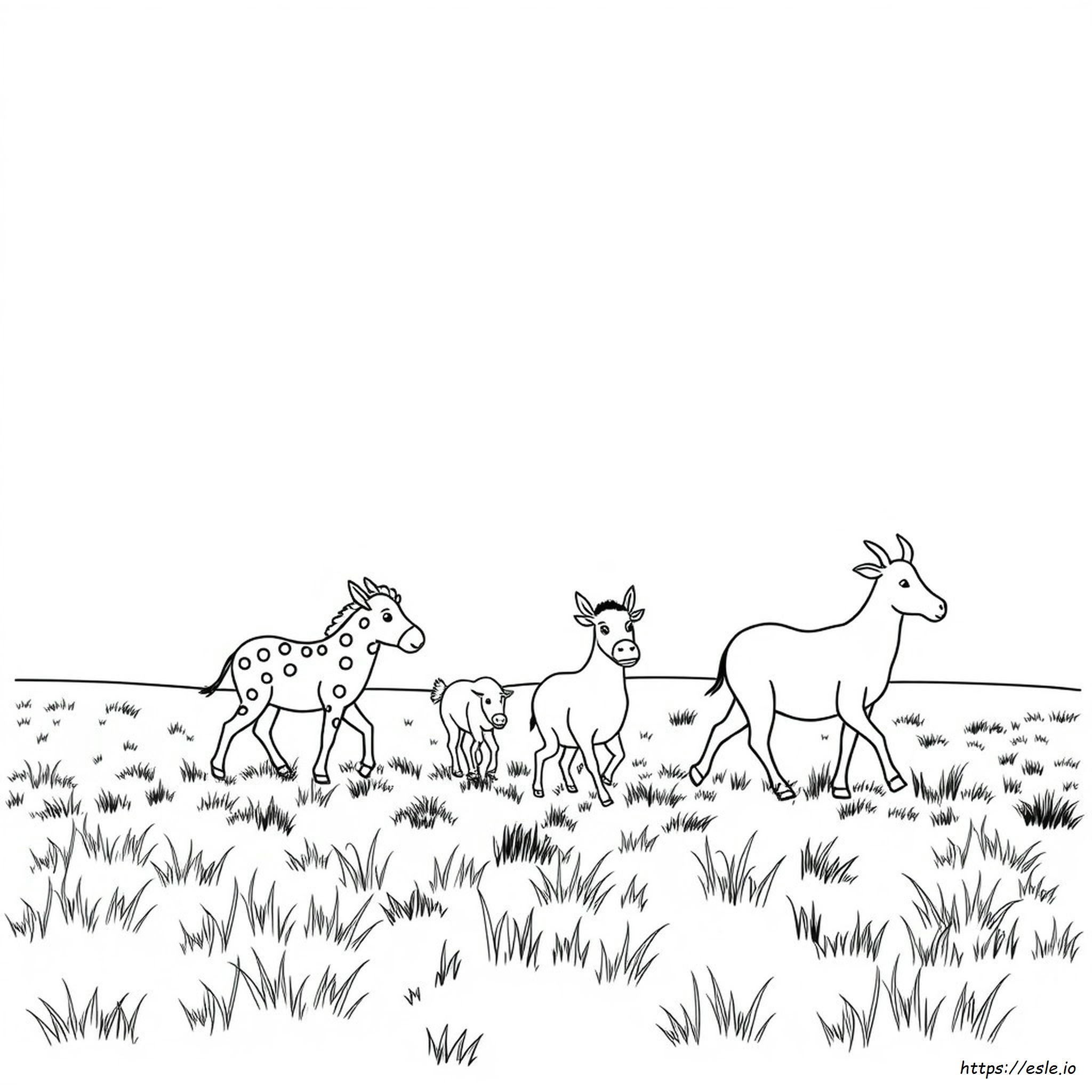 Disegni Da Colorare Di Animali Gratis Da Stampare