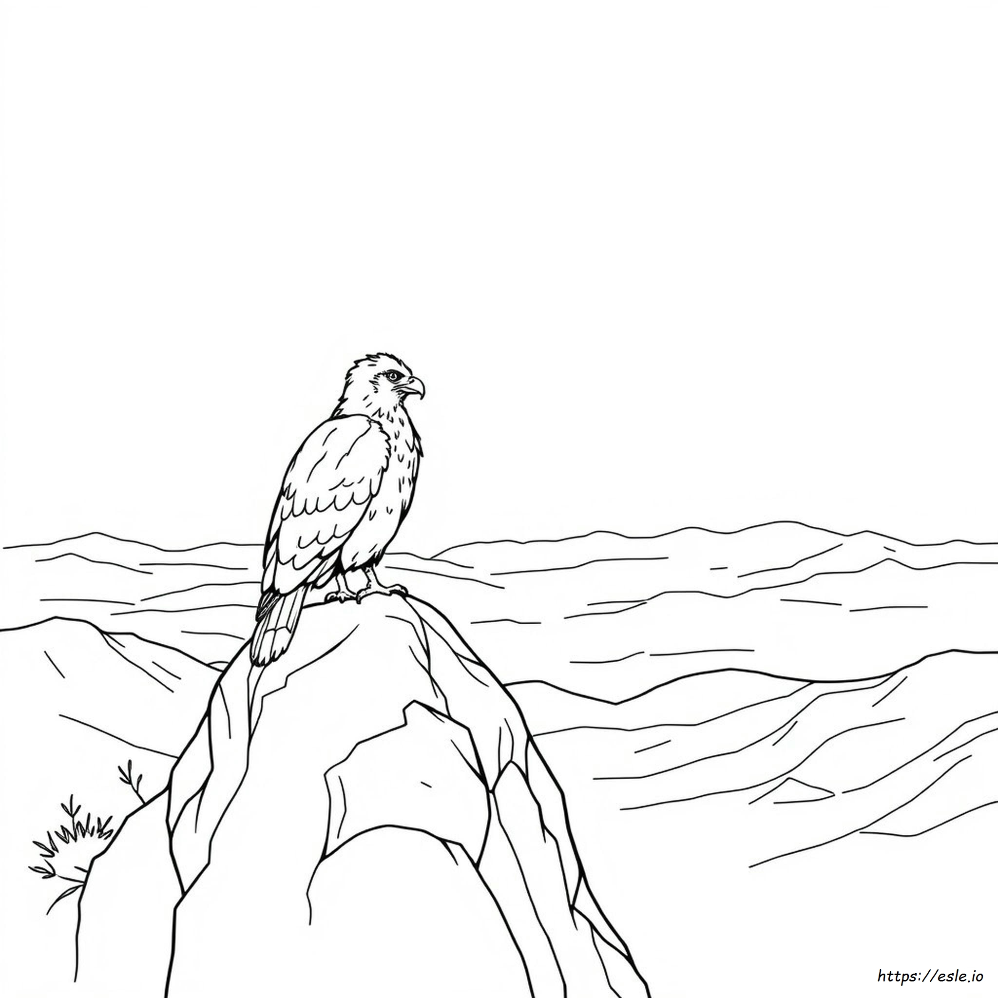 Coloring Pages Of Hawks - Free Printable
