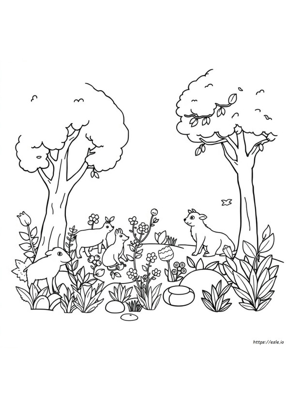 Disegni Gratuiti Sugli Habitat Da Colorare E Stampare