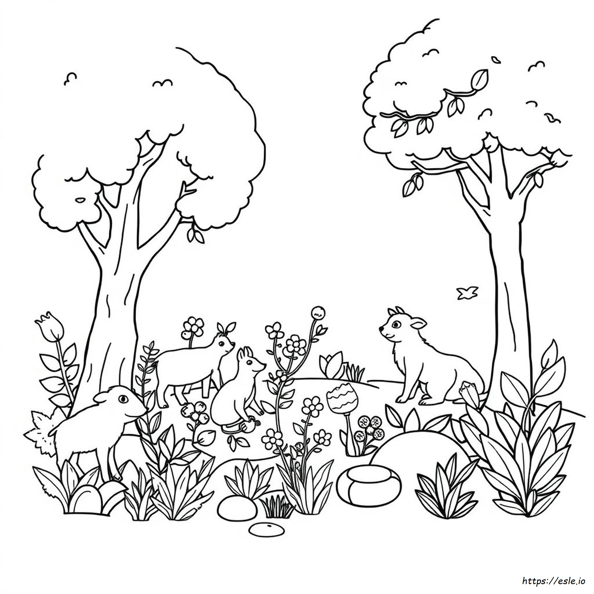 Dibujo Para Colorear De Hábitat Gratis - Imprimir PDF