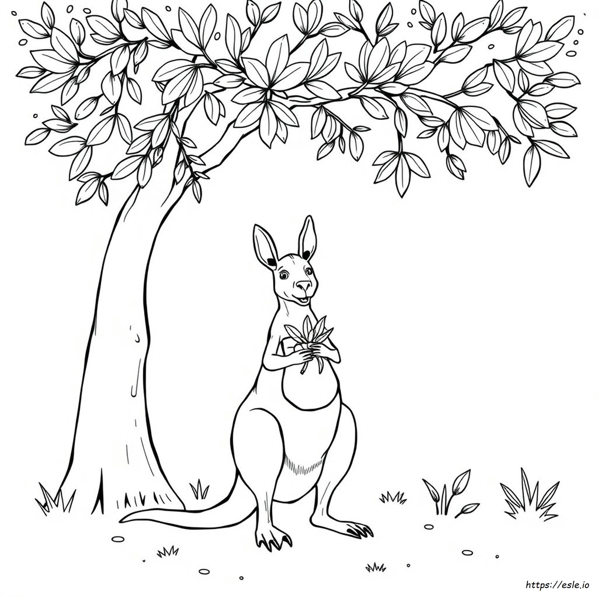 Coloring Picture Of Kangaroo - Free Printable Page
