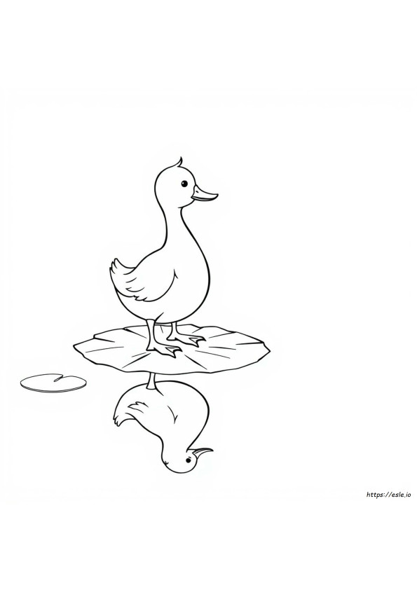 Patos São Daltônicos Para Colorir