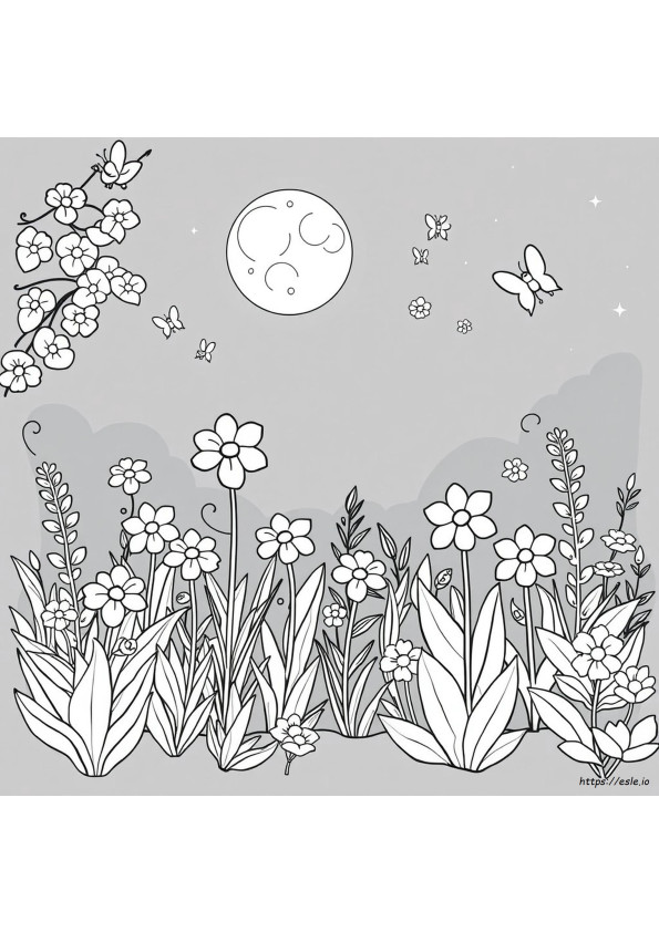 Libro Da Colorare Giardino Notturno