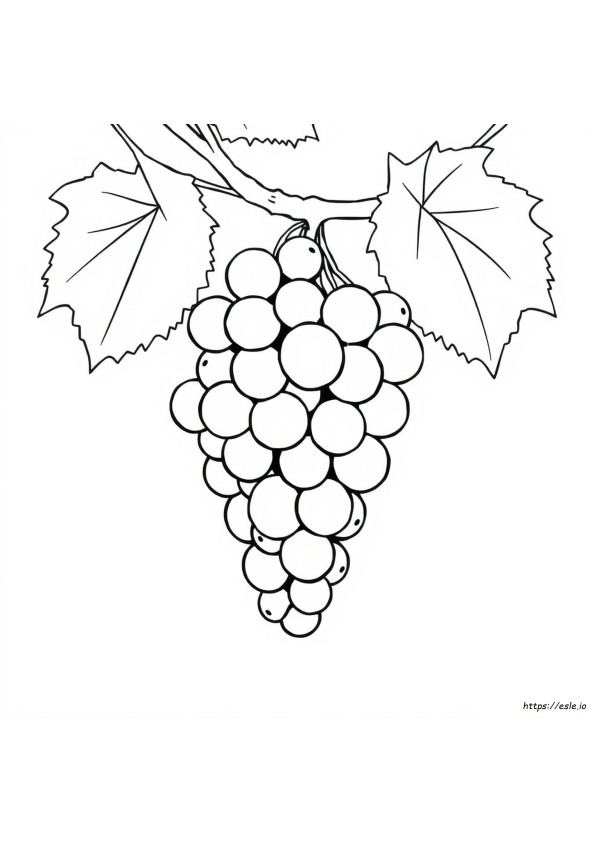Grapes For Colouring