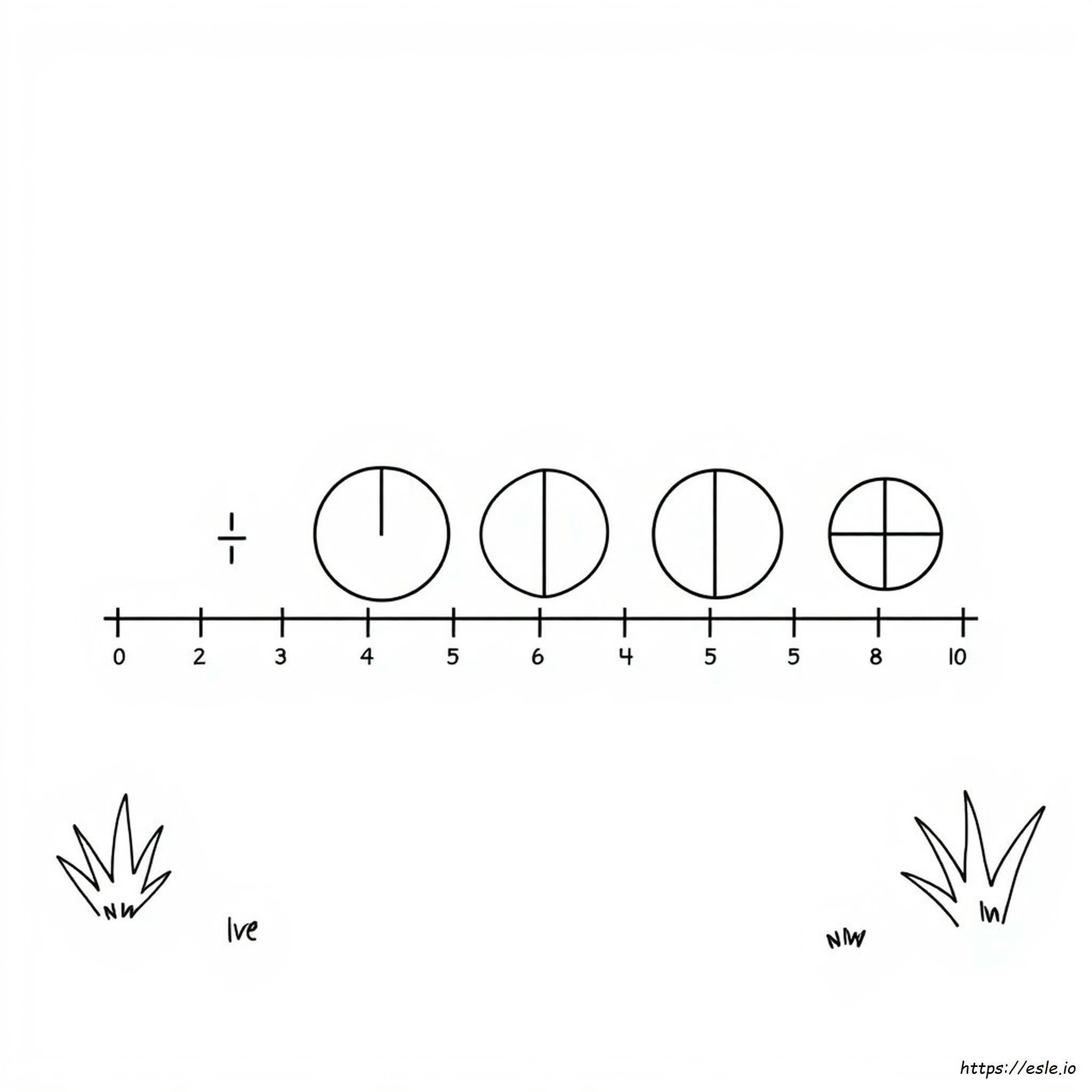 Equivalent Fractions Coloring Pages Resuelto