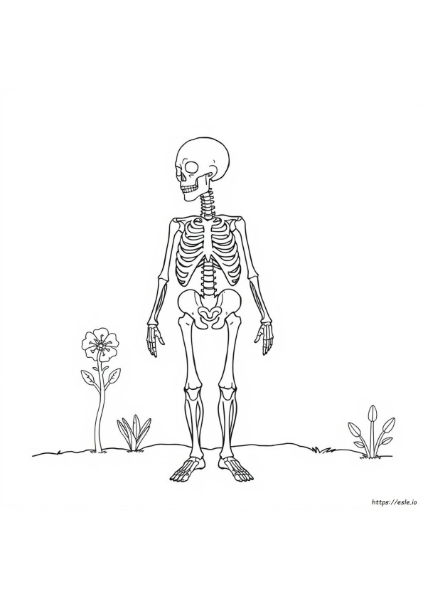 Anatomy And Physiology Coloring Workbook Page 78