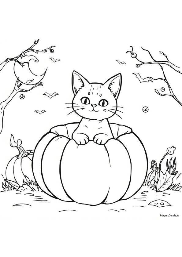 Gato En Una Calabaza Para Colorear