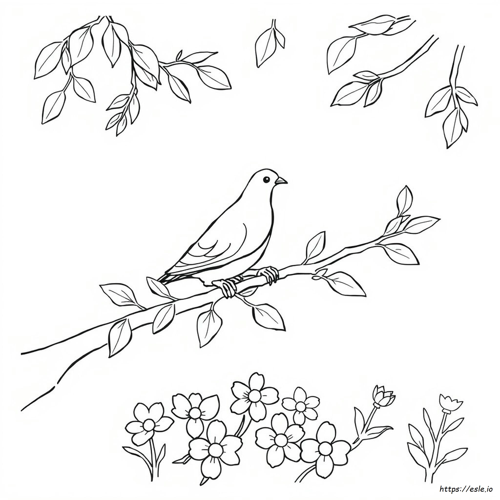 Free Printable Dove Coloring Pages