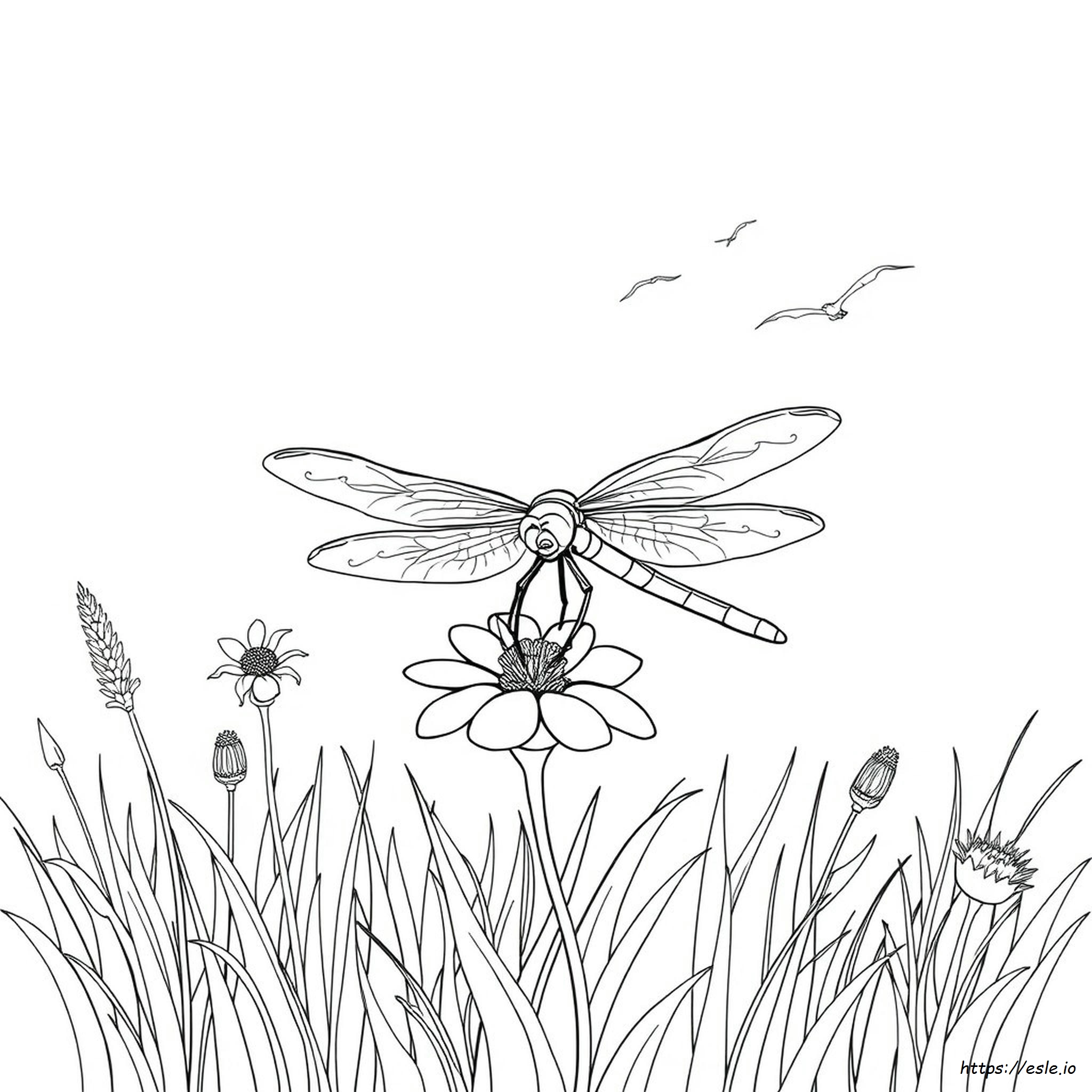 Free Printable Dragonfly Coloring Page
