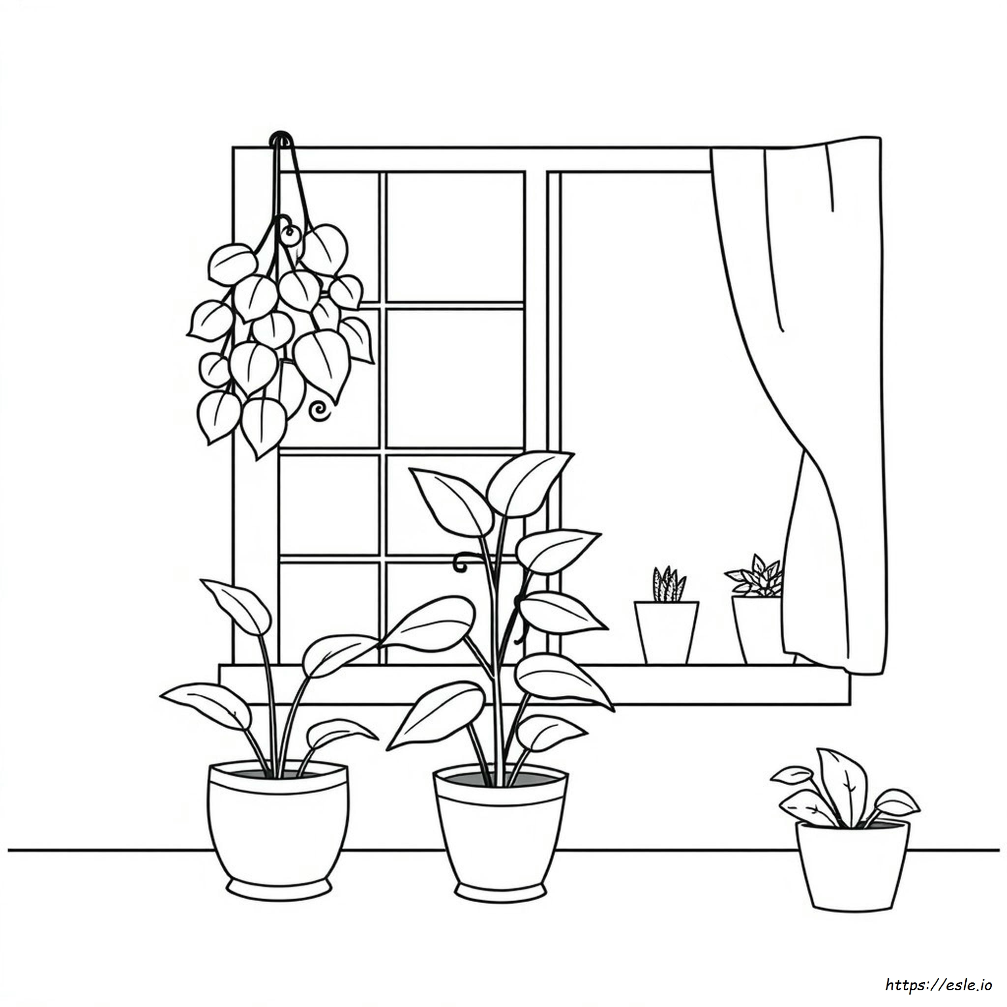 House Plant Coloring Page - Free Printable