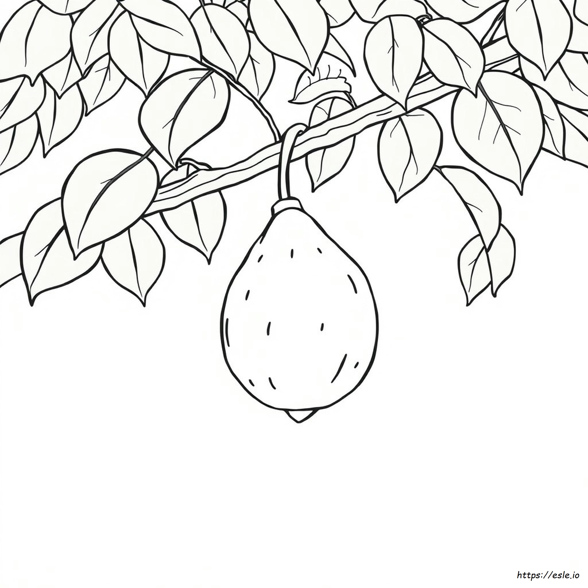 Gambar Mewarnai Buah untuk Dicetak