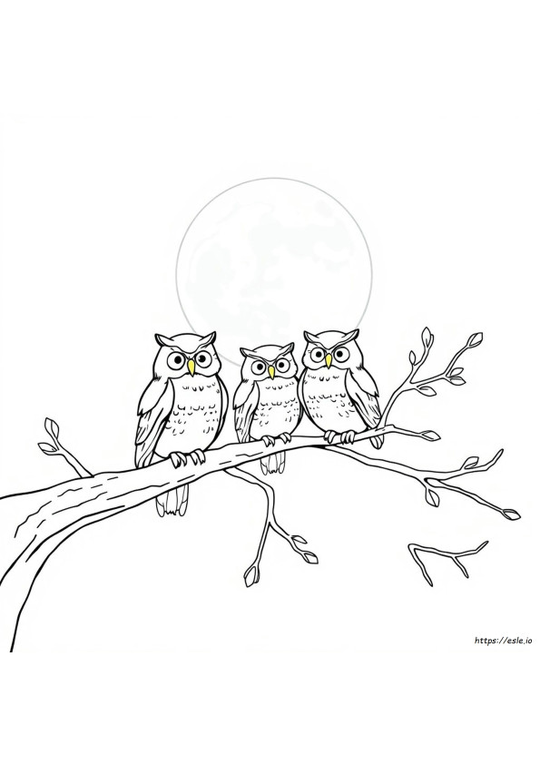 Free Printable Owl Coloring Pages For Adults