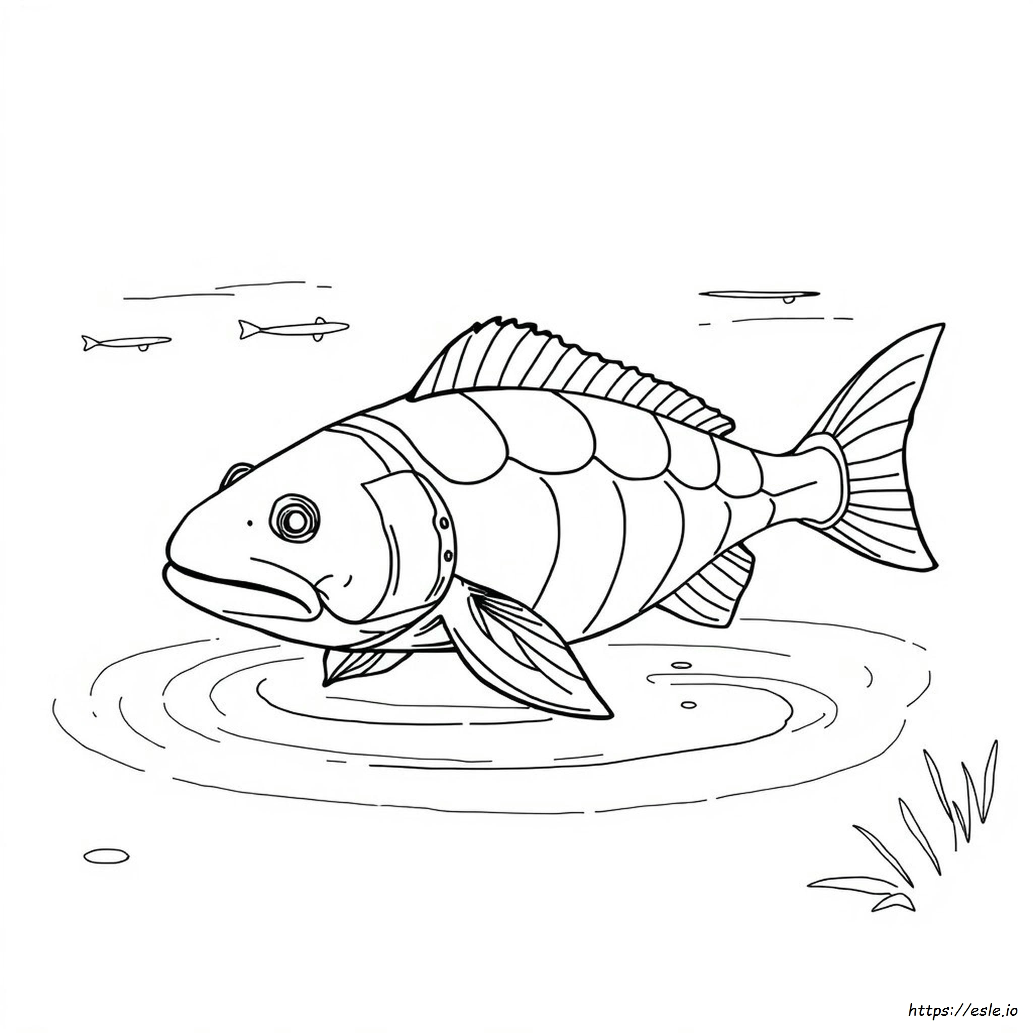 Dunkleosteus Halaman Mewarnai
