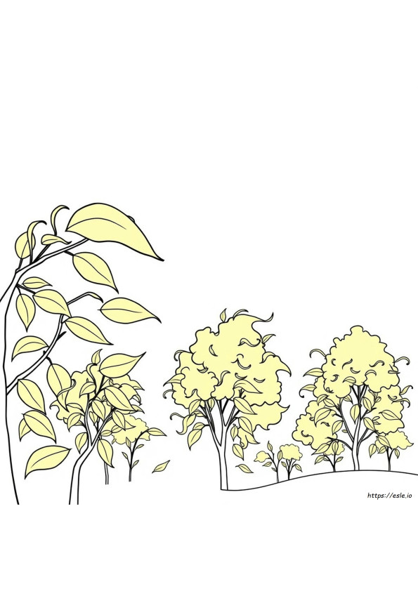 Coloriage Vert Erg
