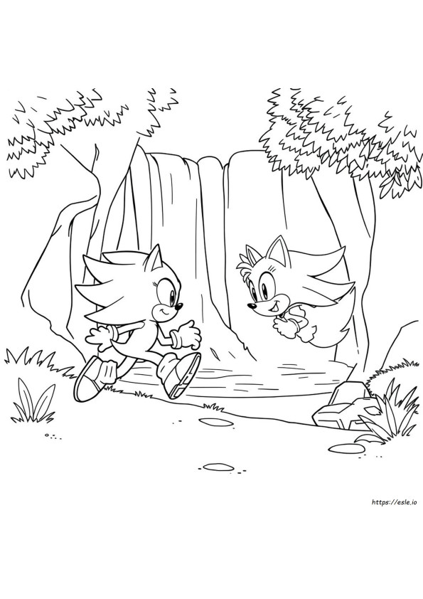 Sonic Y Amy Para Colorear