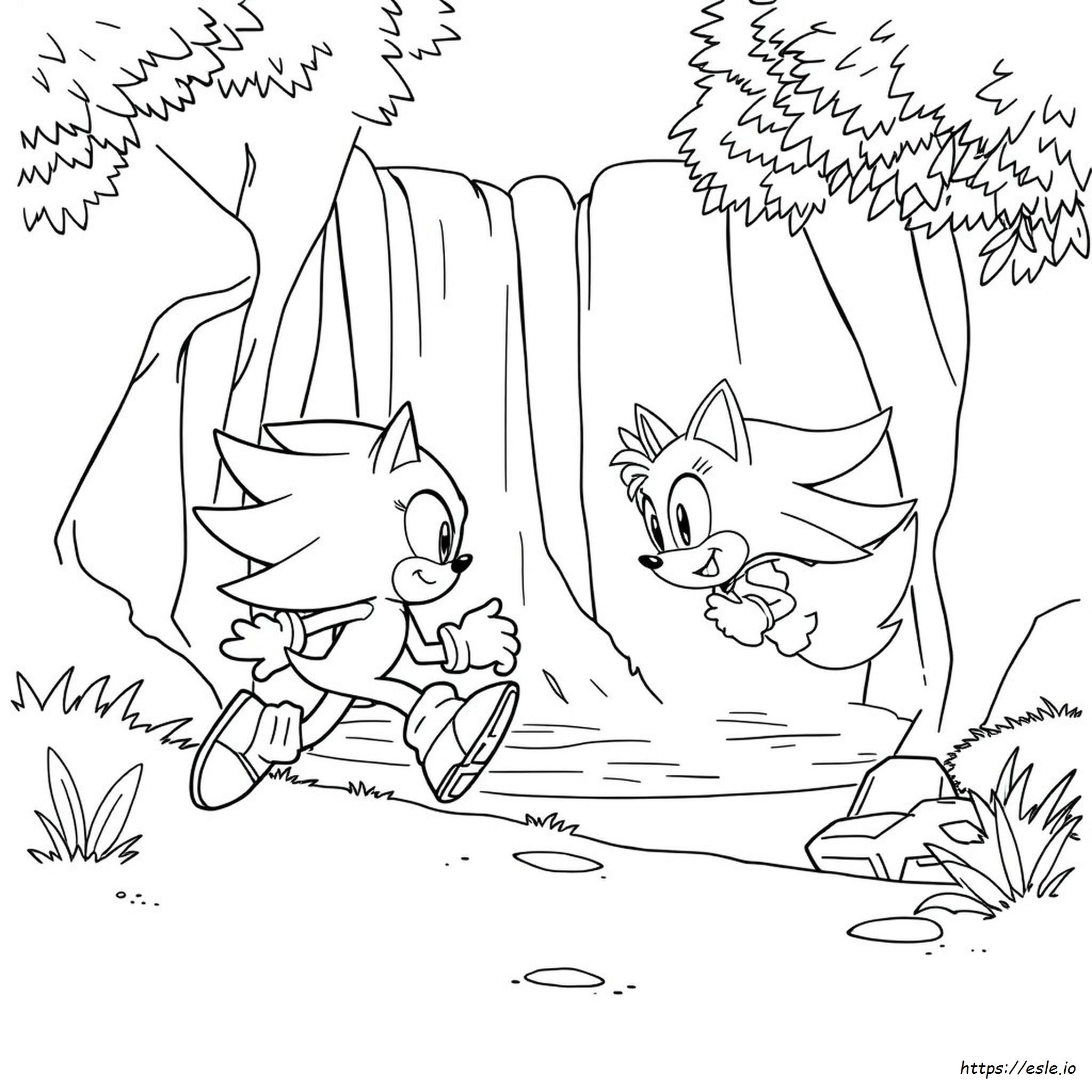 Sonic Und Amy Ausmalbild Zum Ausdrucken