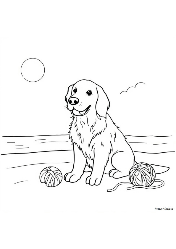 Golden Retriever Para Colorear