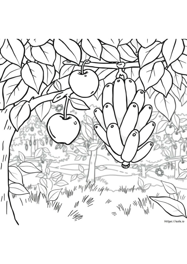 Apple And Banana Coloring Page