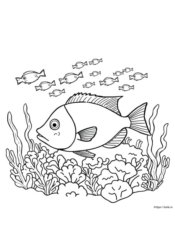 Printable Fish Coloring Pages For Adults