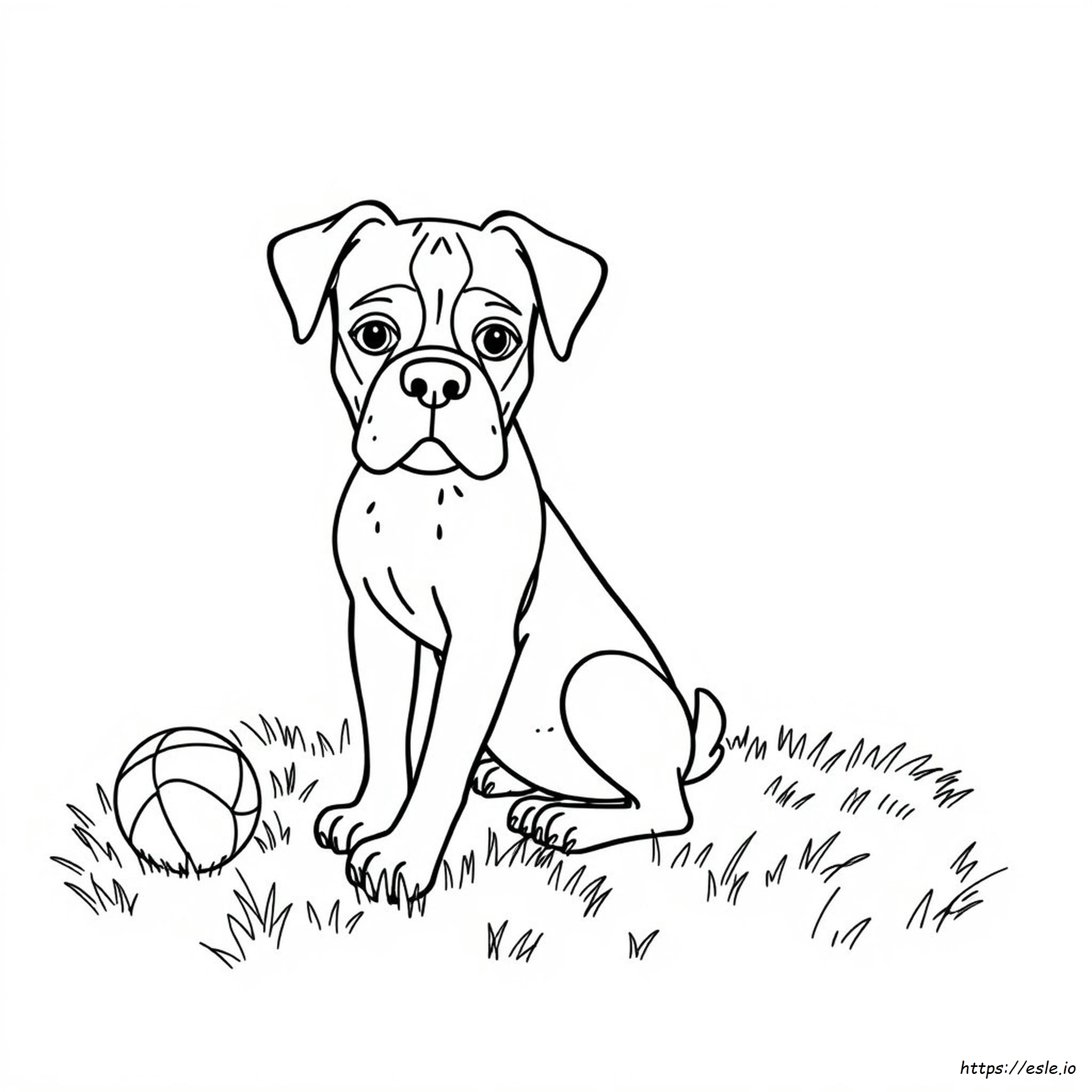 Boxer Dog Coloring Pages
