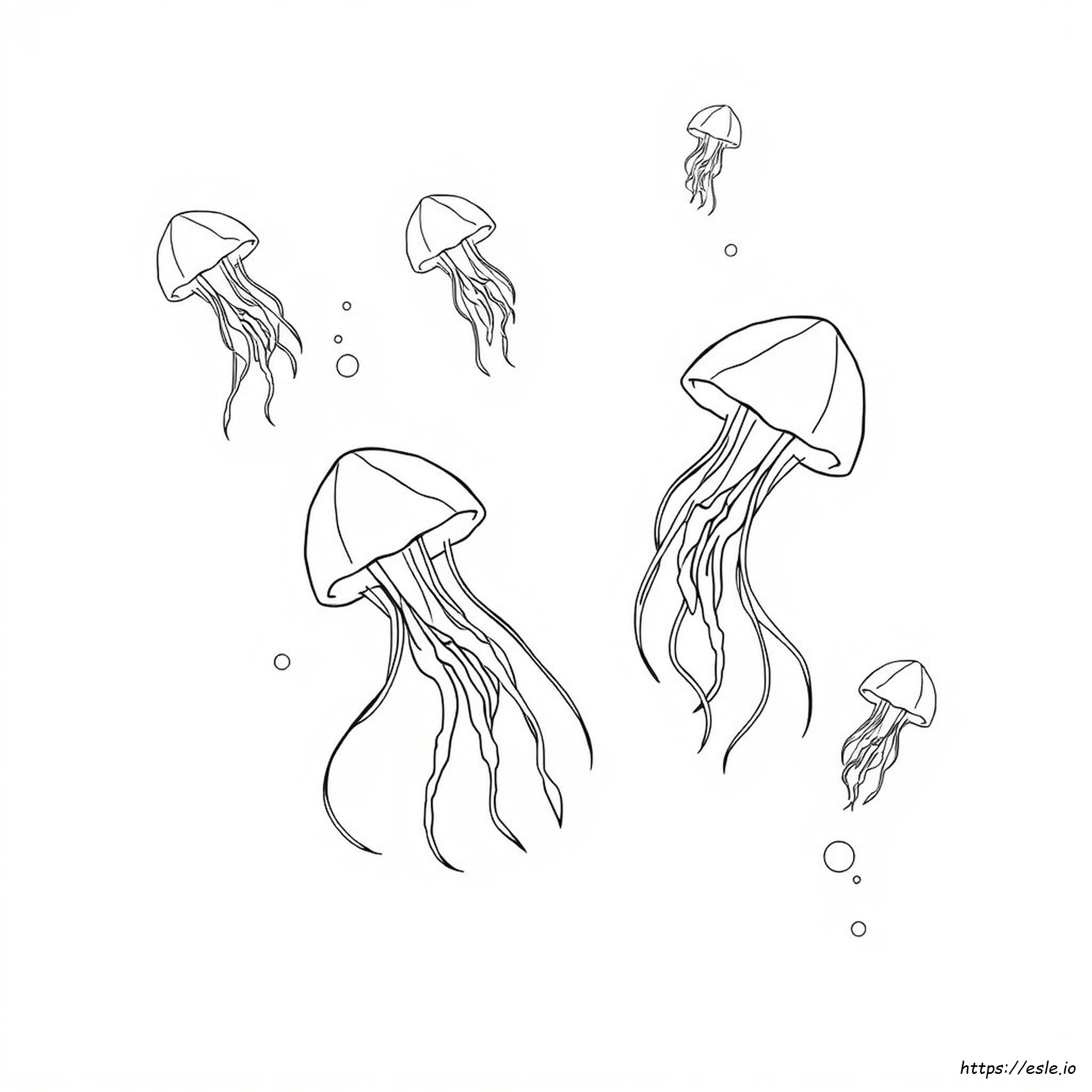 Jellyfish Coloring Page - Free Printable