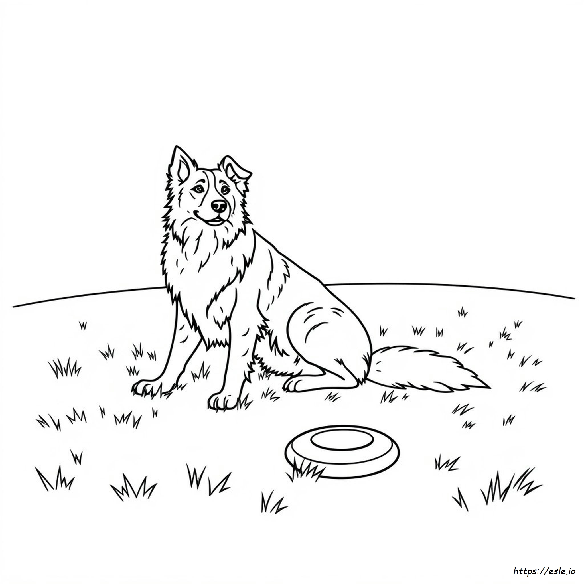 Border Collie Coloring Pages To Print
