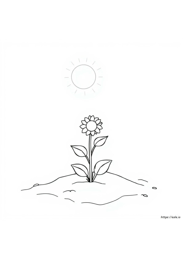 Sundrop Coloring Page